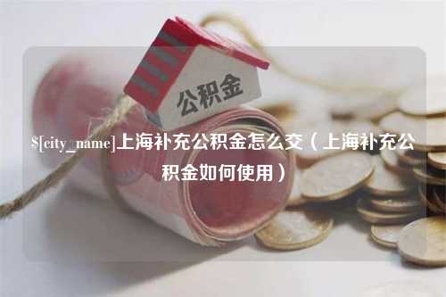 沧州上海补充公积金怎么交（上海补充公积金如何使用）